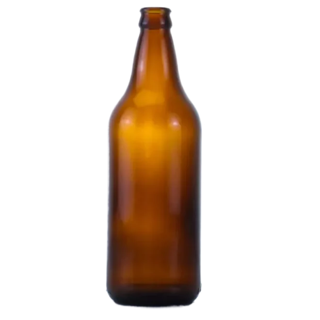 620ml Creative Glass Beer Bottle with Lid – Custom Designs & Wholesale Supply