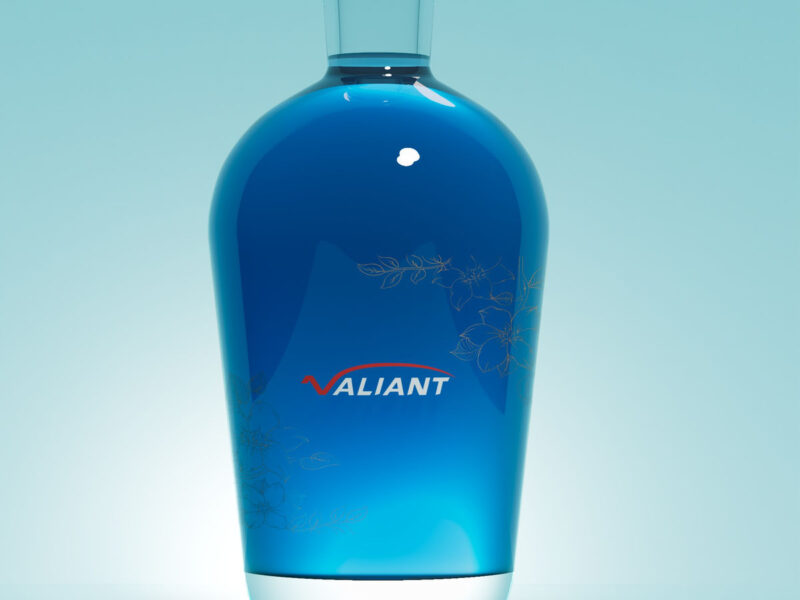 Audited Glass Bottle Factory in China